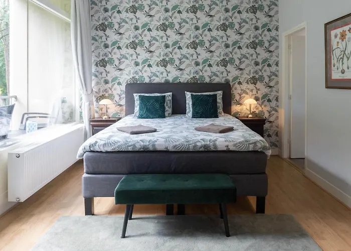 De Rode Beuk 4* Wassenaar