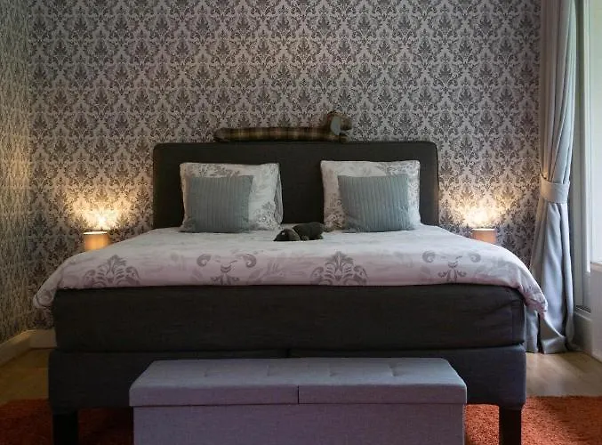 De Rode Beuk 4* فاسّينار