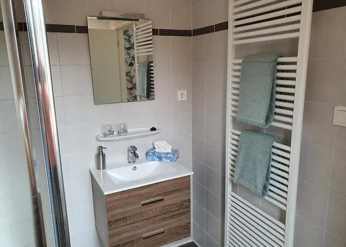 De Rode Beuk 4* Wassenaar