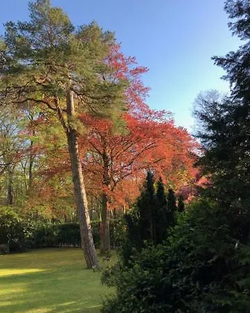 Bed & Breakfast De Rode Beuk 4*